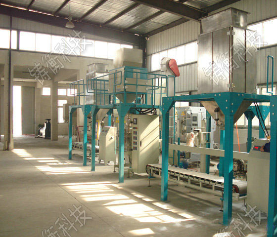 �w����������C